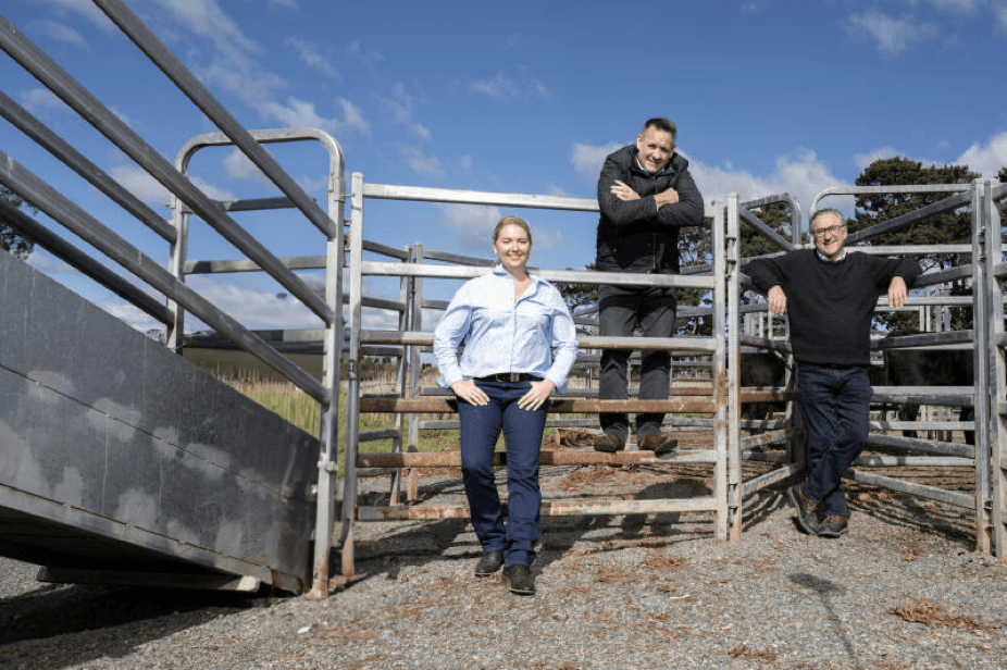 section Vårt Tillvägagångssätt